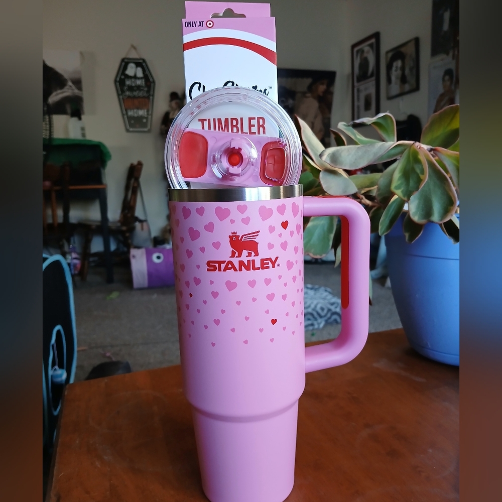 30oz Stanley Limited Edition Stanley From Target